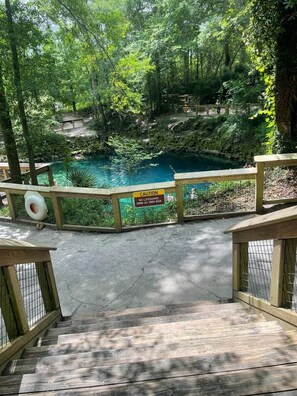 Property grounds - Blue Spring Hideaway (Madison County)