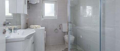 A modern bathroom with a glass shower enclosure, a white sink, and a toilet.
