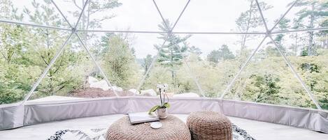 Área da propriedade