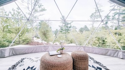 Dome 3 - Forest and Peek-a-boo lake view