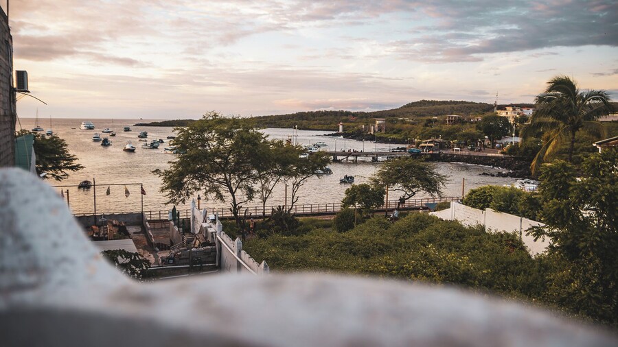 Hotel y Restaurante Miconia