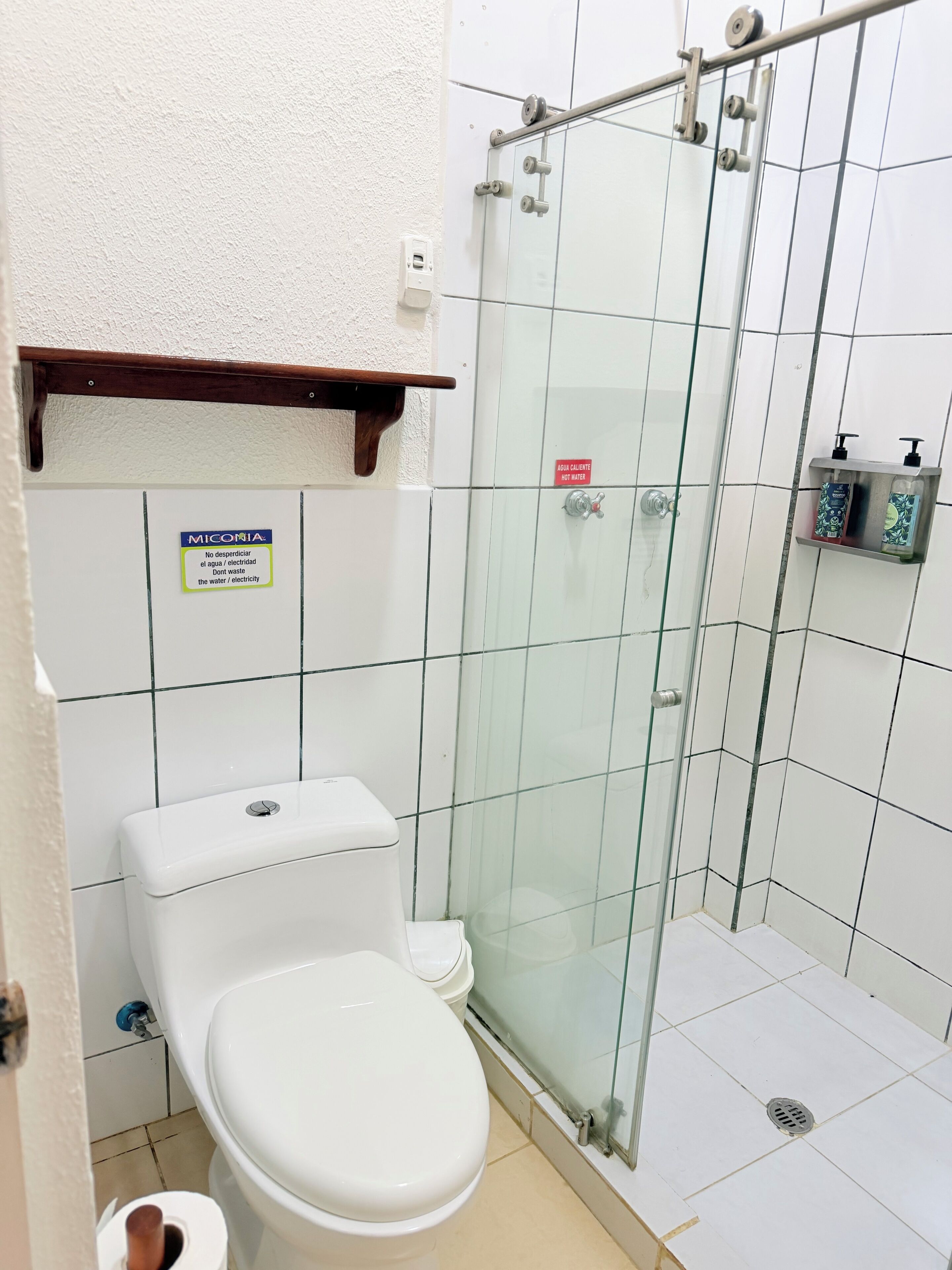 A bathroom with a toilet, a glass shower enclosure, and a shelf with toiletries.