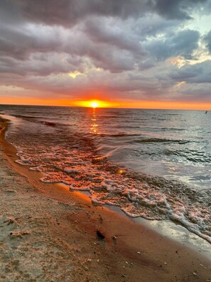 بالقرب من الشاطئ