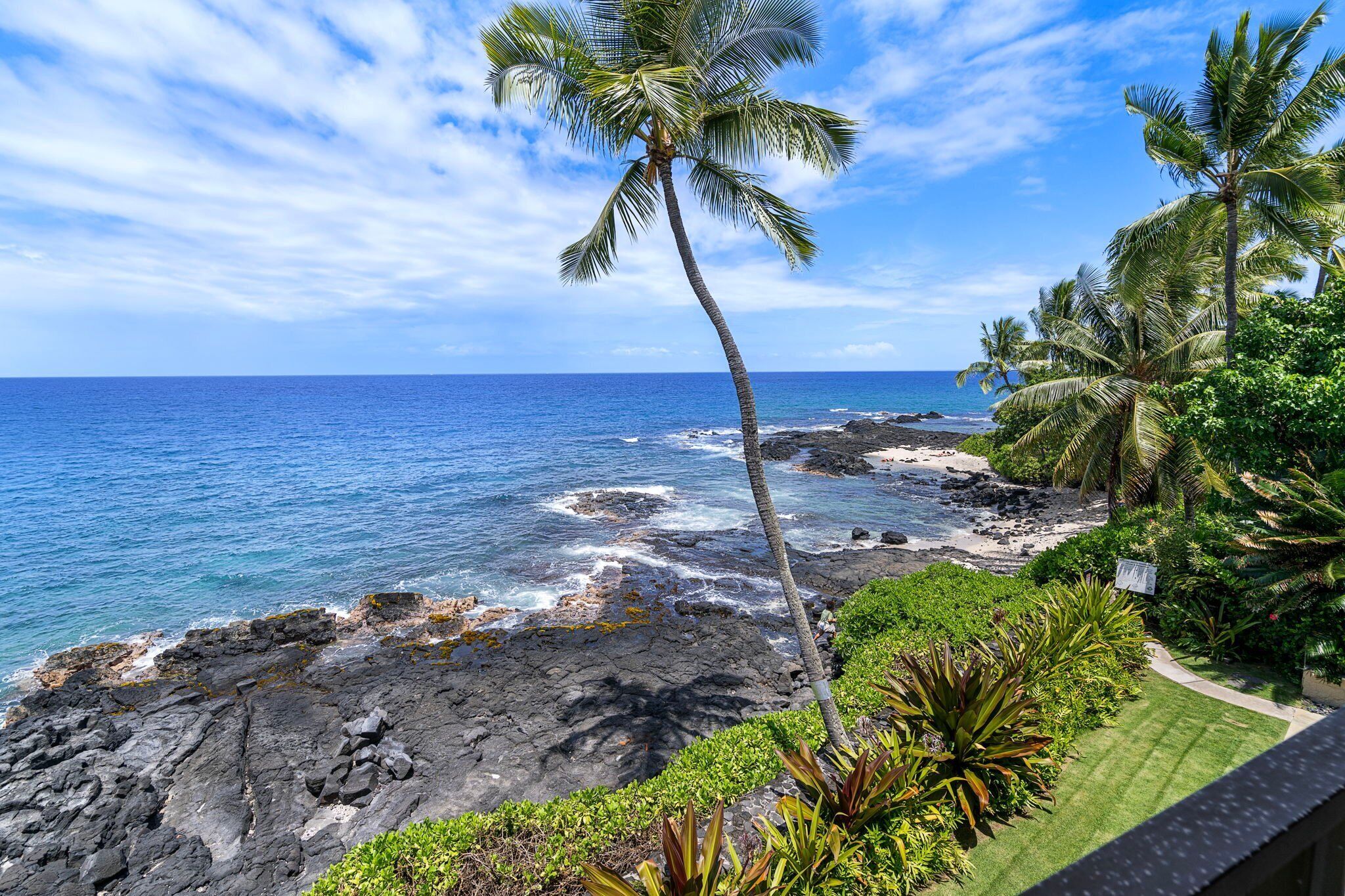 A coastal view with a rocky shoreline, palm trees, and a clear blue sky.
