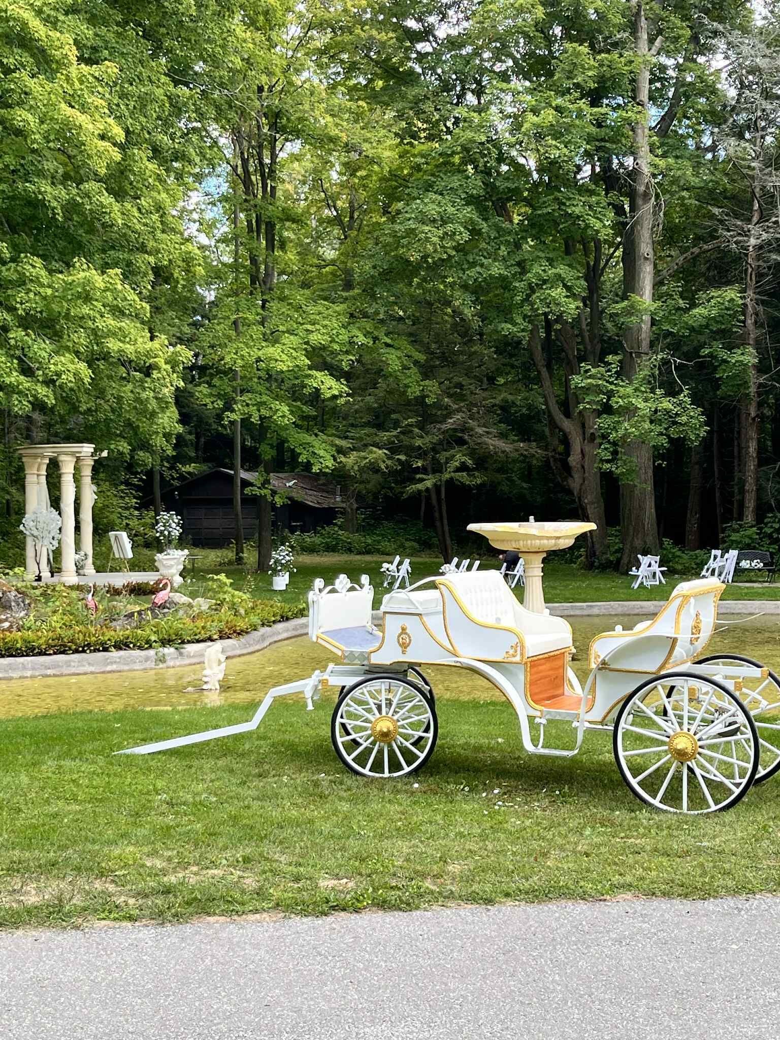 A carriage parked in a park with lush greenery and a fountain.