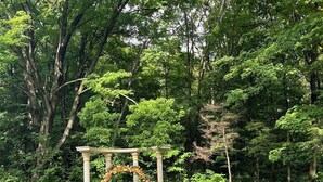 A garden wedding setup with white chairs and a floral archway. - Forest Villa for Large Group with Outdoor Pool and indoor Swim Spa-Pet friendly (Newmarket)