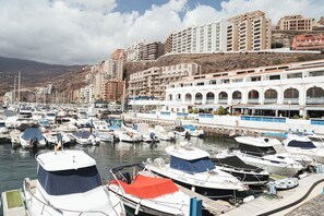 Marina - Spacious and bright in Radazul with panoramic ocean views (Radazul)