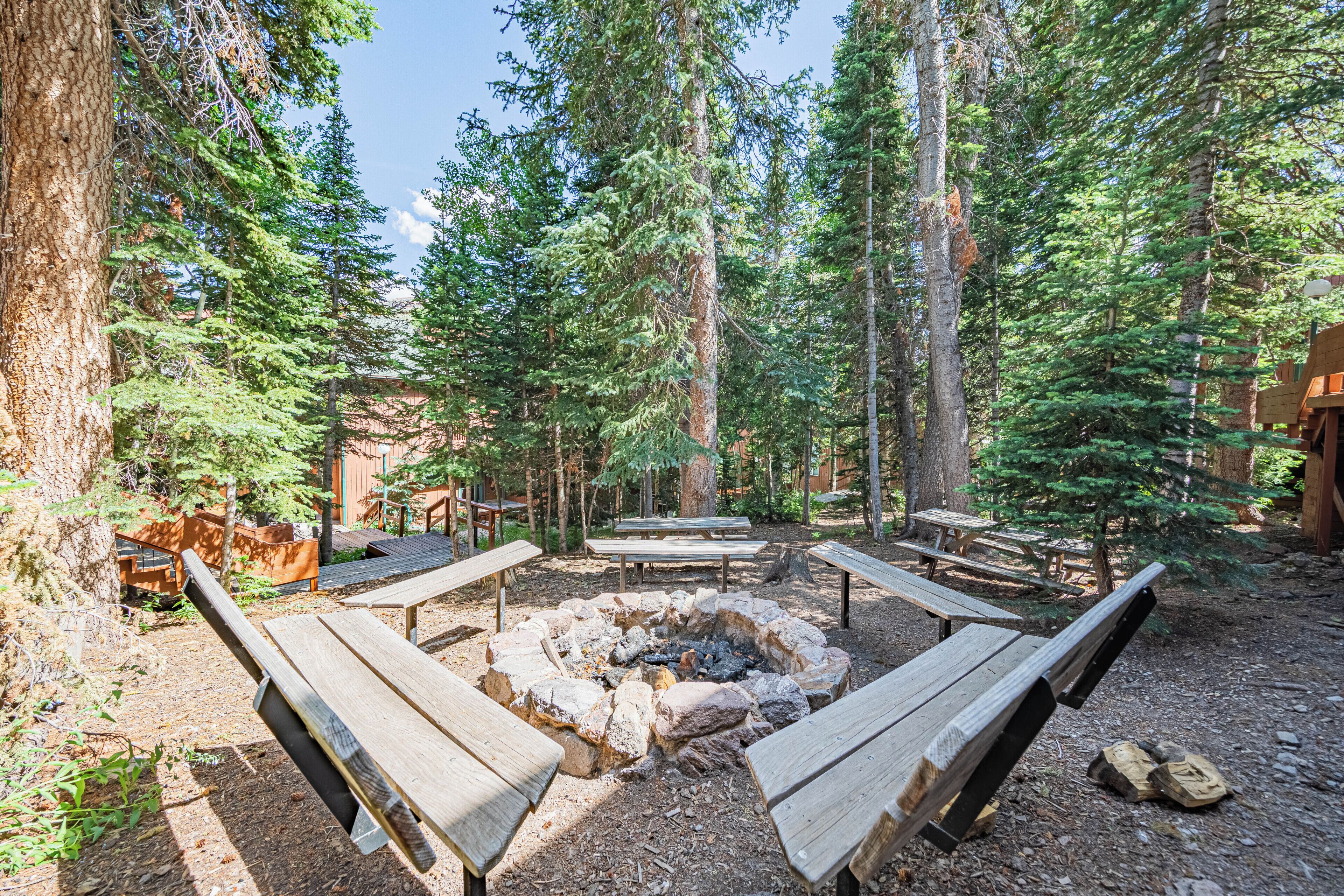 Ein bewaldeter Campingplatz mit einem zentralen Feuerkorb, umgeben von Holzbänken und Picknicktischen.