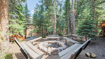 Ein bewaldeter Campingplatz mit einem zentralen Feuerkorb, umgeben von Holzbänken und Picknicktischen.