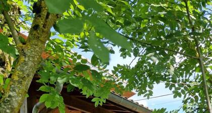 La maison Bois et Soleil