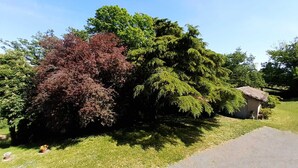 A residential property with a driveway, a small shed, and a variety of trees including a large coniferous tree and a bush with reddish leaves. - Vors - GAILLAC - Gîte (GAILLAC)