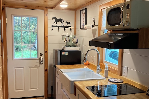 Kühlschrank, Mikrowelle, Herdplatte, Wasserkocher mit Kaffee-/Teezubehör