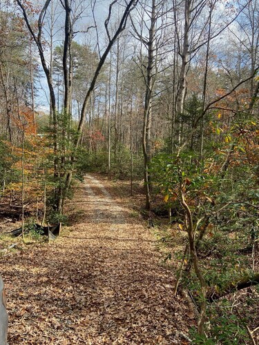 Private Cleveland Mountain Retreat - Dog Friendly