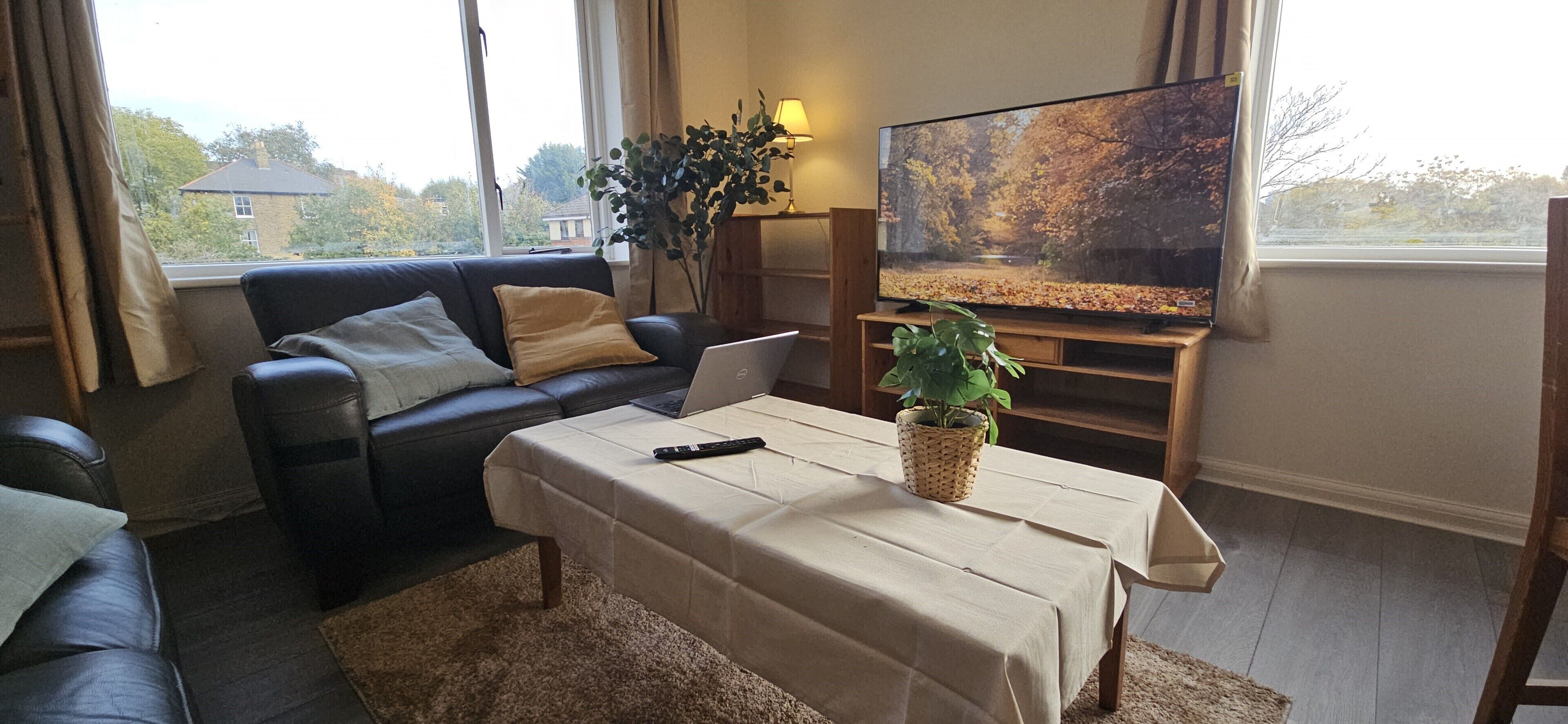 A living room with a sofa, a coffee table, a TV on a stand, and a plant.