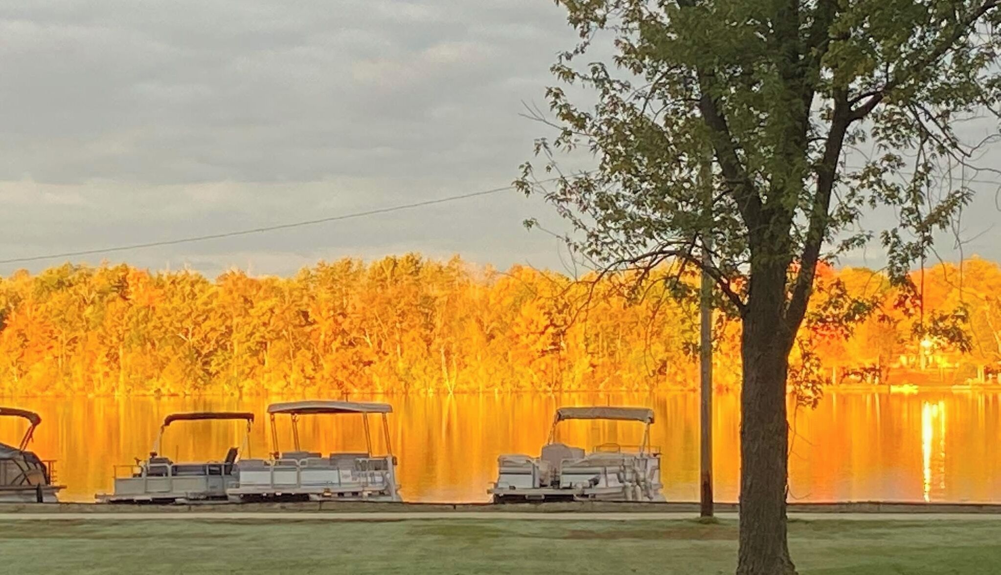 A row of golf carts parked on a grassy area with a body of water and trees in the background.