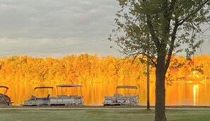 Une rangée de voiturettes de golf est stationnée sur une pelouse, avec un plan d’eau et des arbres en arrière-plan.