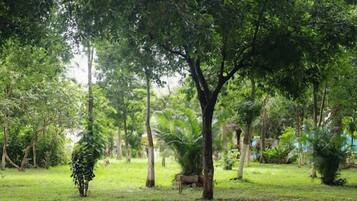 Àrea exterior de l'allotjament