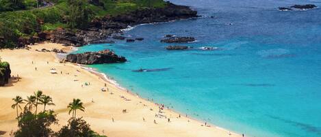 Camastros y toallas de playa