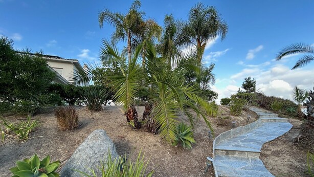 A landscaped garden with a stone pathway, various plants, and a building in the background.