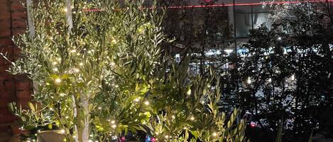 Àrea exterior de l'allotjament