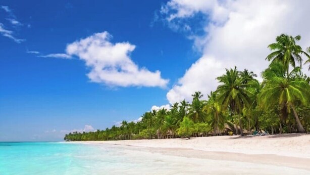 A beach with clear turquoise water, white sand, and palm trees under a blue sky with clouds. - Caribbean home / Punta Cana /Pool, gym, playground area (Punta Cana)