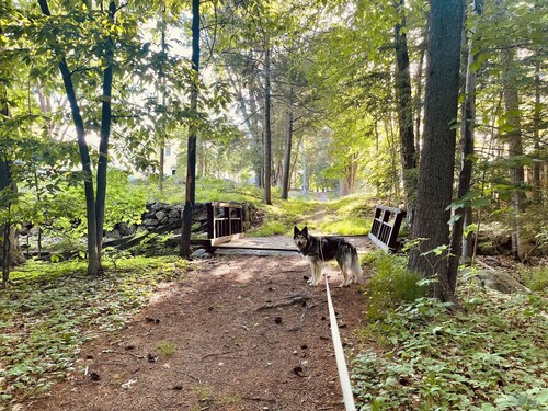 Spacious & Historic 2-Bed – 5 Min Drive to High Mowing, 25 Min to Dublin School