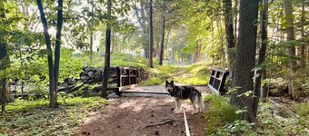 Spacious & Historic 2-Bed – 5 Min Drive to High Mowing, 25 Min to Dublin School