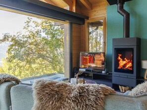 Télévision, cheminée, lecteur de DVD