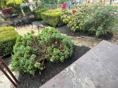 Newly renovated 2 bedroom home located near the waterfront and Carnegie Library!