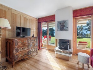 Televisio, DVD-soitin