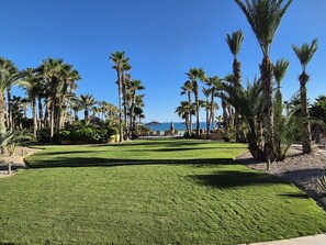 Property grounds - Blue Bungalow 402D: Your Luxury Beachfront Escape (Puerto Peñasco)