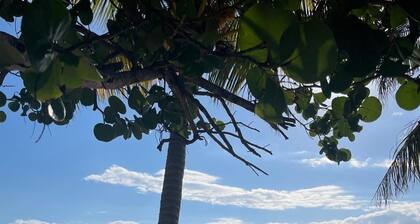 Casa Corazón - Spacious 6 Bedroom Beachfront Villa with Pool & Pier