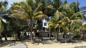 A beach with palm trees, a wooden walkway, and a building with a white facade and blue trim. - Casa Corazón - Spacious 6 Bedroom Beachfront Villa (Placencia)