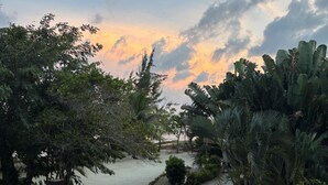 A pool with a yellow float, surrounded by tropical vegetation and a sunset sky. - Casa Corazón - Spacious 6 Bedroom Beachfront Villa (Placencia)