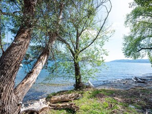A natural landscape with a tree, a body of water, and a distant mountain range.