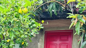 Uma porta vermelha com portão de metal, entrada com azulejos e janela com moldura verde.