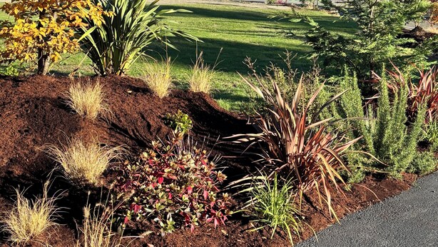 A landscaped garden with a variety of plants and a building labeled "Southmount Grocery" in the background.