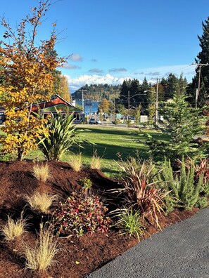 A landscaped garden with a variety of plants and a building labeled "Southmount Grocery" in the background.