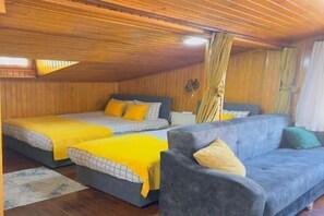 Une pièce avec deux lits, un canapé, des murs en bois et un plafond en pente.
