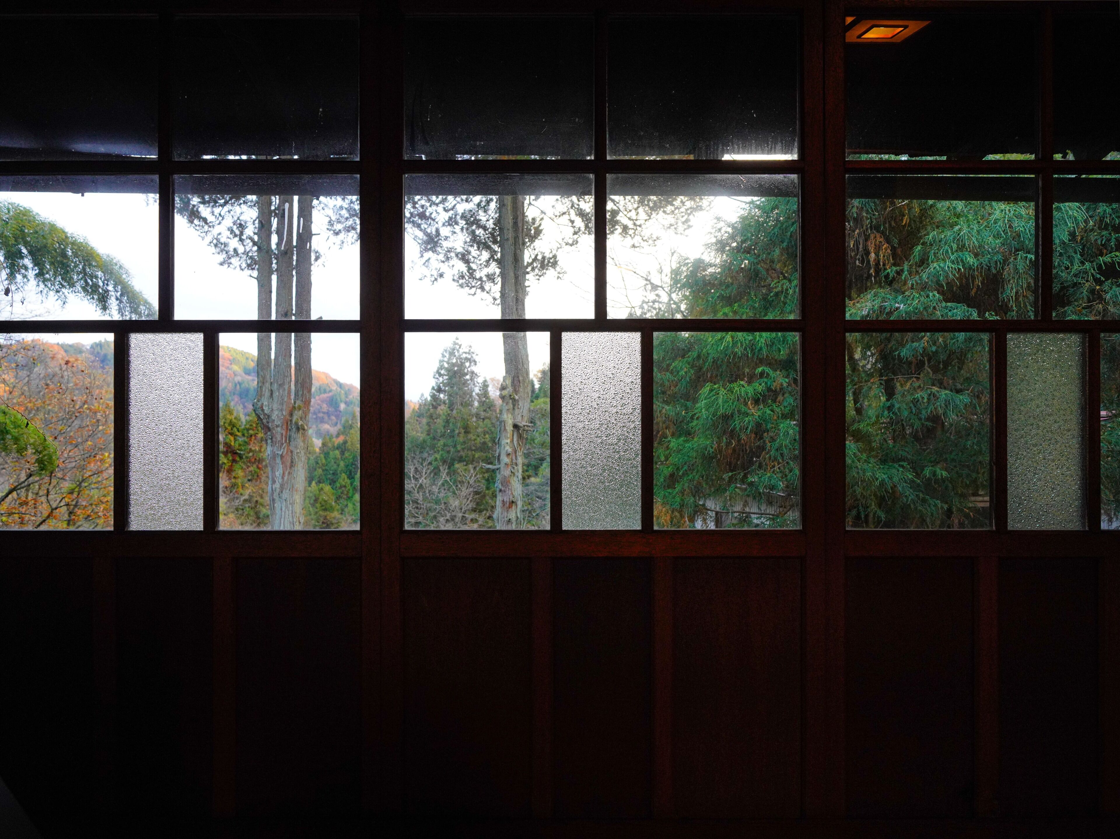 Deluxe Room, Mountain View (Yukiakari) | Down comforters, bed sheets