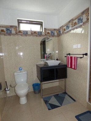 Shower, hair dryer, bidet, towels