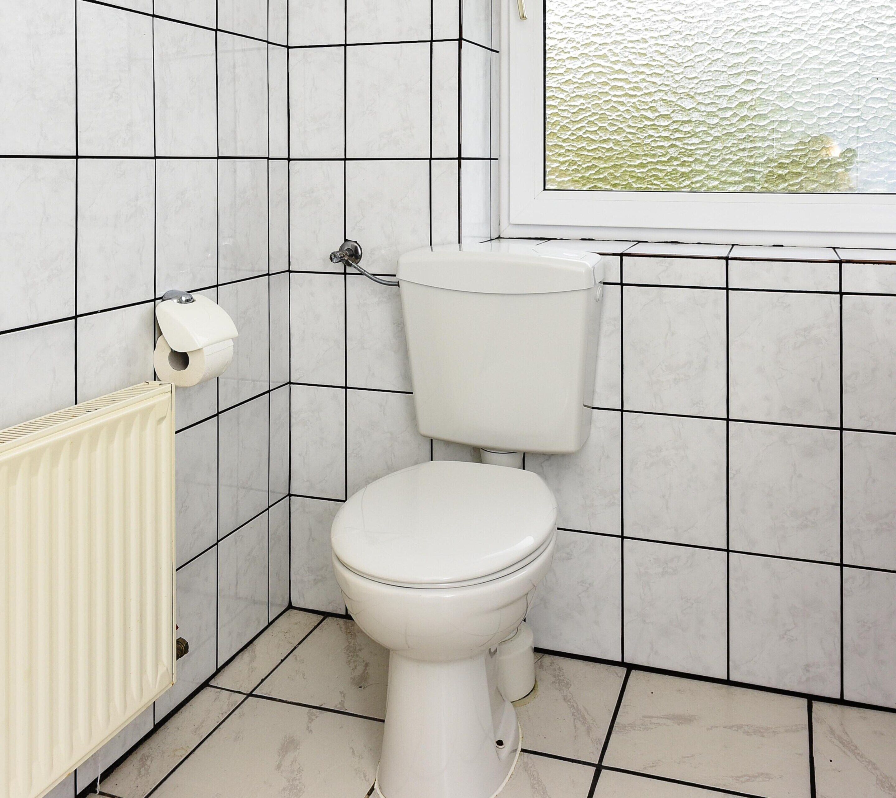 Un inodoro blanco con tanque, un dispensador de papel higiénico y un radiador en un baño con paredes de azulejos blancos y negros.