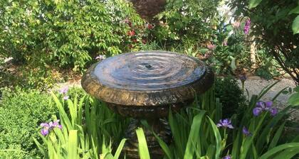 Chinoiserie - Katoomba's Jewell - heart of Katoomba