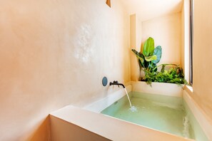 Shower, hair dryer, towels, shampoo - Studios with Plunge Pool Near the Beach (Playa del Carmen)