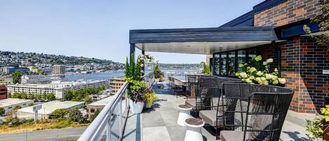 テラス / パティオ