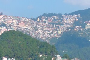 Aerial view - Kesarjees (Shimla)