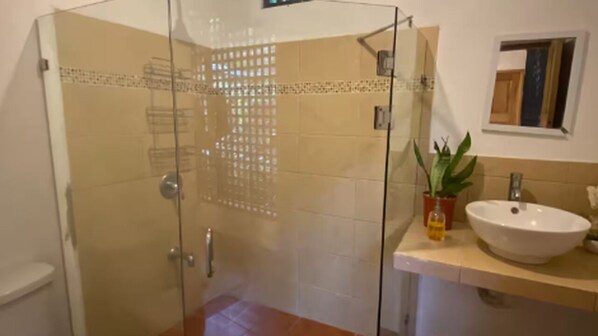 Ducha con mampara de vidrio, pared con azulejos, lavamanos blanco y una planta en maceta sobre la encimera.