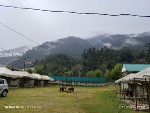 デラックス テント パティオ マウンテンビュー | マウンテン ビュー