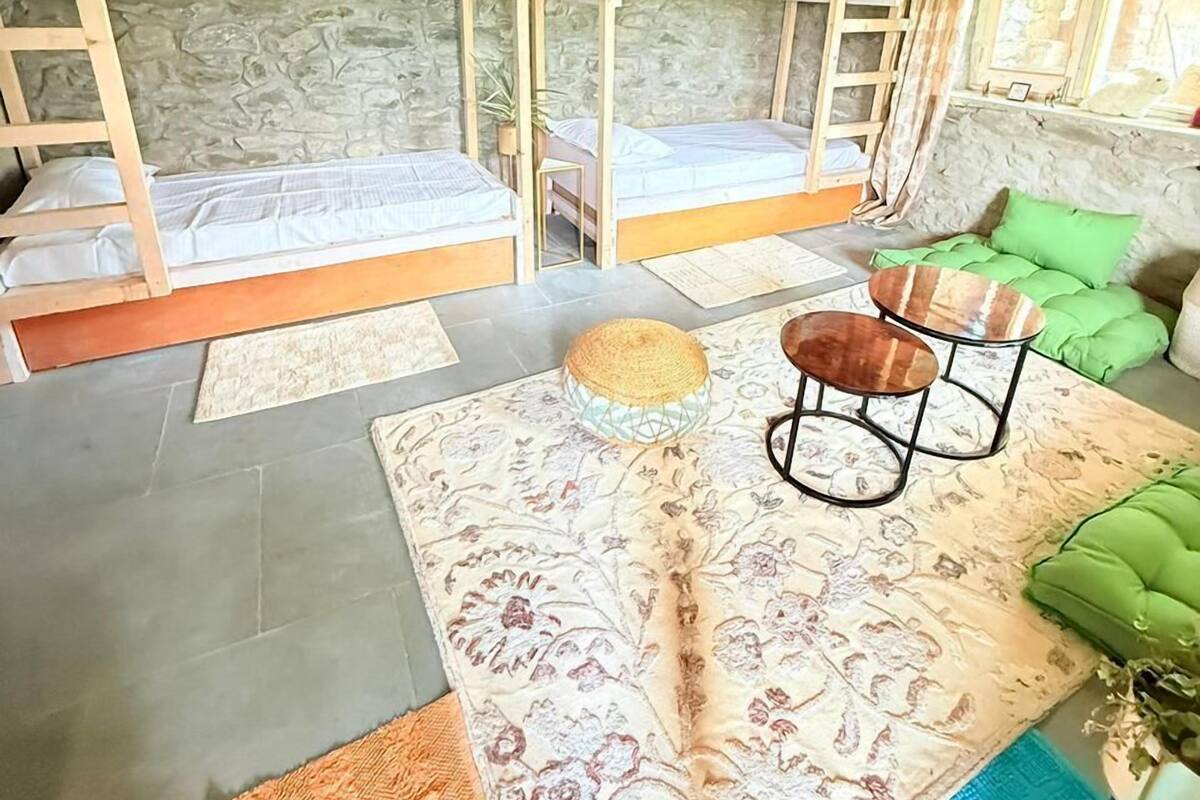 Comfort Shared Dormitory