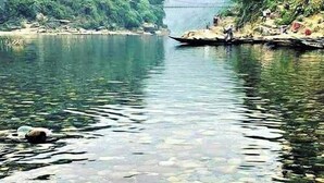 A river with clear water and visible rocks, surrounded by greenery.